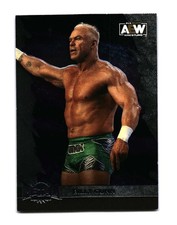 Billy Gunn 2022 SkyBox Metal Universe AEW 80