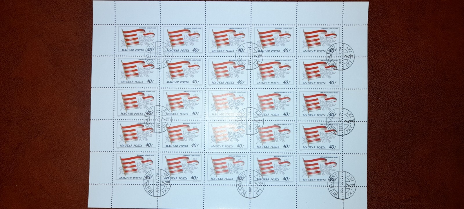 Foto 7 di 24