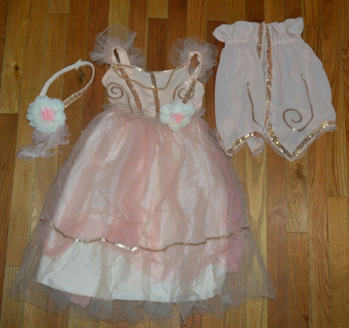 Pottery Barn Kids Peach Flapper Halloween Costume Dress Size