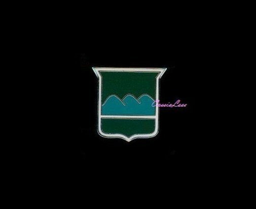 USA 80th Inf. Div. + a custom promo pin