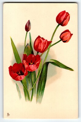Tuck Postcard Five Red Tulips And A Bud Flowers Gel Series 8190 Vintage Floral