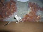 CHAMPION BOXER MARX DOG 1954 FIGURE VINTAGE 1/32