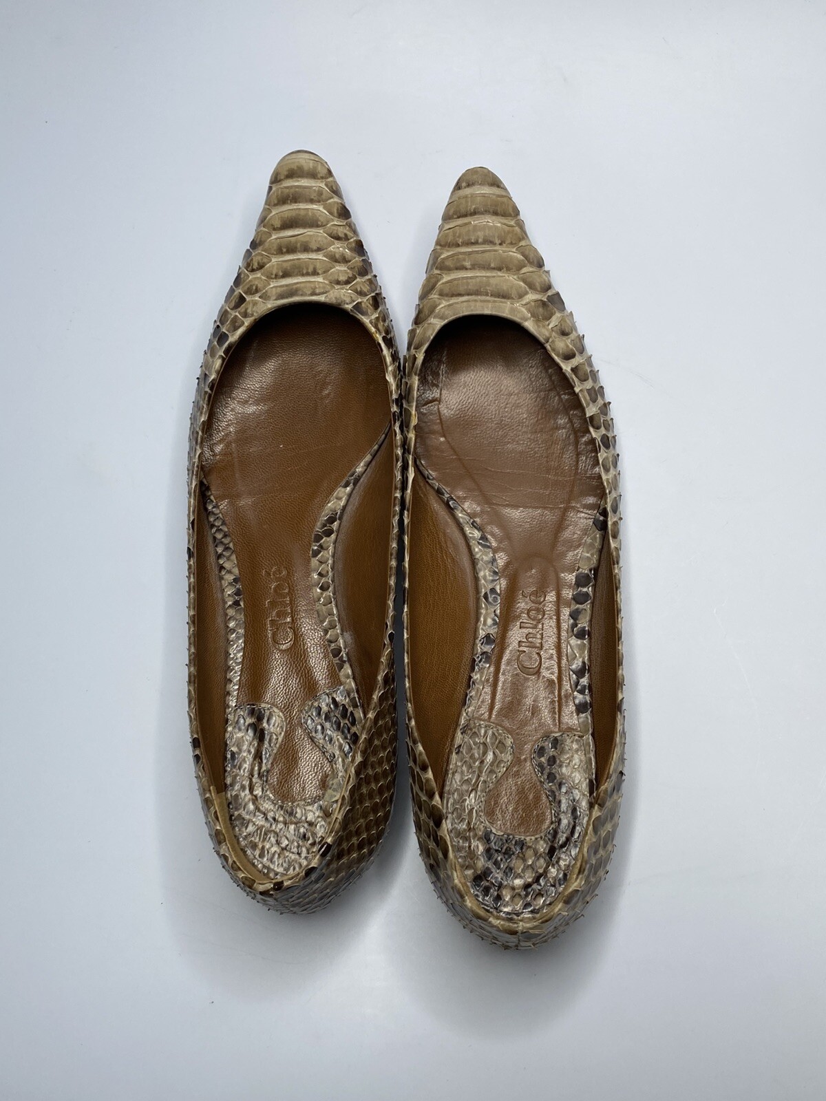 Chloe Marcie Python Beige Brown Ballet Pointed Fl… - image 12