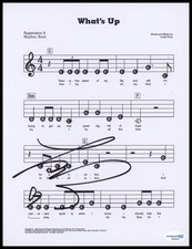 Linda Perry "4 Non Blondes" AUTOGRAPH Signed 'What's Up' 8.5x11 Sheet Music ACOA