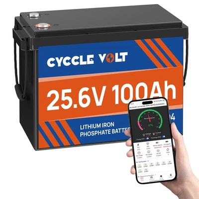CYCCLEVOLT 24V 100Ah Bluetooth LiFePO4 Batterie 8000 Zyklen 100A BMS für Solar Wohnmobil RV