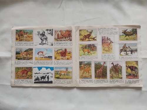 Album Figurine Mammiferi Edizione Panini 1976 - COMPLETO - - Picture 10 of 19