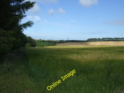 Photo 6x4 Crop field beside woodland Bridgefield/NJ9012 Off Whitestripes c2014