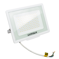 Luxula LED Fluter 100 W 3000 K Warmweiß Weiß IP65