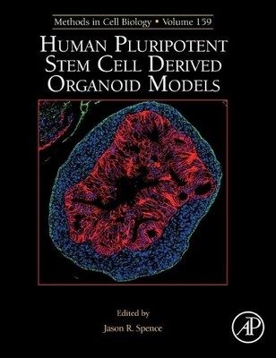 Human Pluripotent Stem Cell Derived Organoid Models - 9780128215319