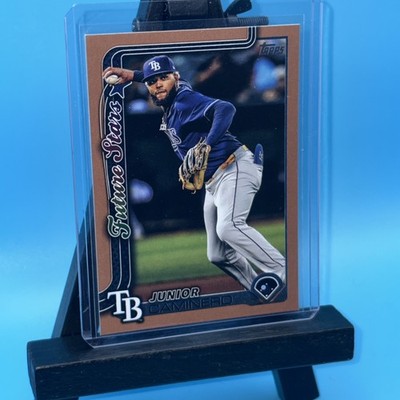 2025 Topps Series 2 Junior Caminero Gold Parallel /2025 #477 Future Stars Rays