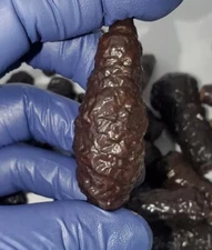 EGYPTIAN PROPHECY STONES 1PC 