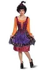 Hocus Pocus Women's L 12-14 Mary Sanderson Adult Halloween Costume No Wig
