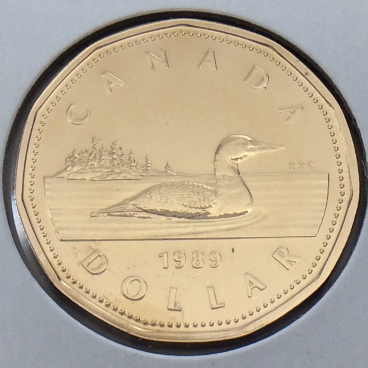 1989 Canada 1 One Dollar Loonie Canadian Brilliant Uncirculated