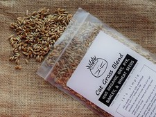 CAT GRASS BLEND  Totally ORGANIC Combo Mix Of Seeds From a Trusted U.S. Source