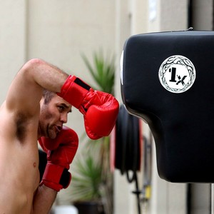 Training Wall Boxing Punch Pad Uppercut Bag Martial Art Kick Focus Pad MMA