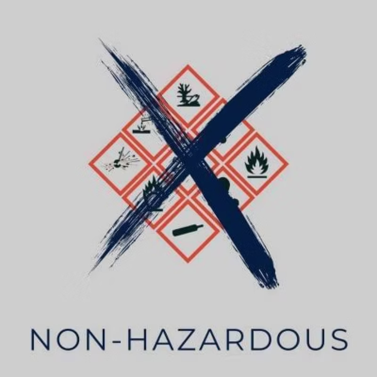 Morton Pro Floor and Carpet Cleaner