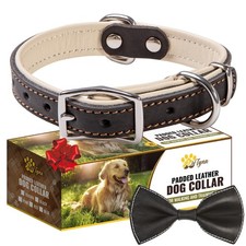 Heavy-Duty Black Leather Dog Collar for Small Dogs - Soft Padded for Comfort ...