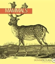 Mammals (Dover Pictura Electronic Clip Art)