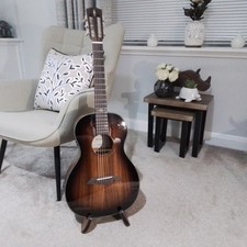 Alvarez AP66e Artist Series Acoustic with Hard Case Excellent Condition