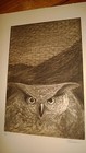 Picture 2 of 6