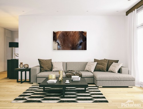 Photography Print Cow Eyes, The Eyes Have It - Picture 8 of 11