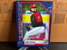 Jaden Hamm, Detroit Tigers #10 Overall Prospect - 2025 Unique MiLB Card