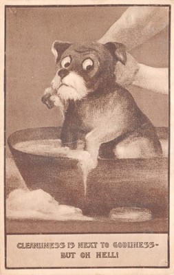 Großbritannien und Ausland Comic Postkarte Hund gut gut plus