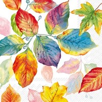 20 Servietten Colourful Leaves Farbenfrohe HerbstbläTter Herbst Natur 33X33Cm