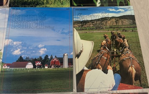 Farm And Ranch Living Magazines (1990s & 2000s) SET OF 14 - Imagen 6 de 9