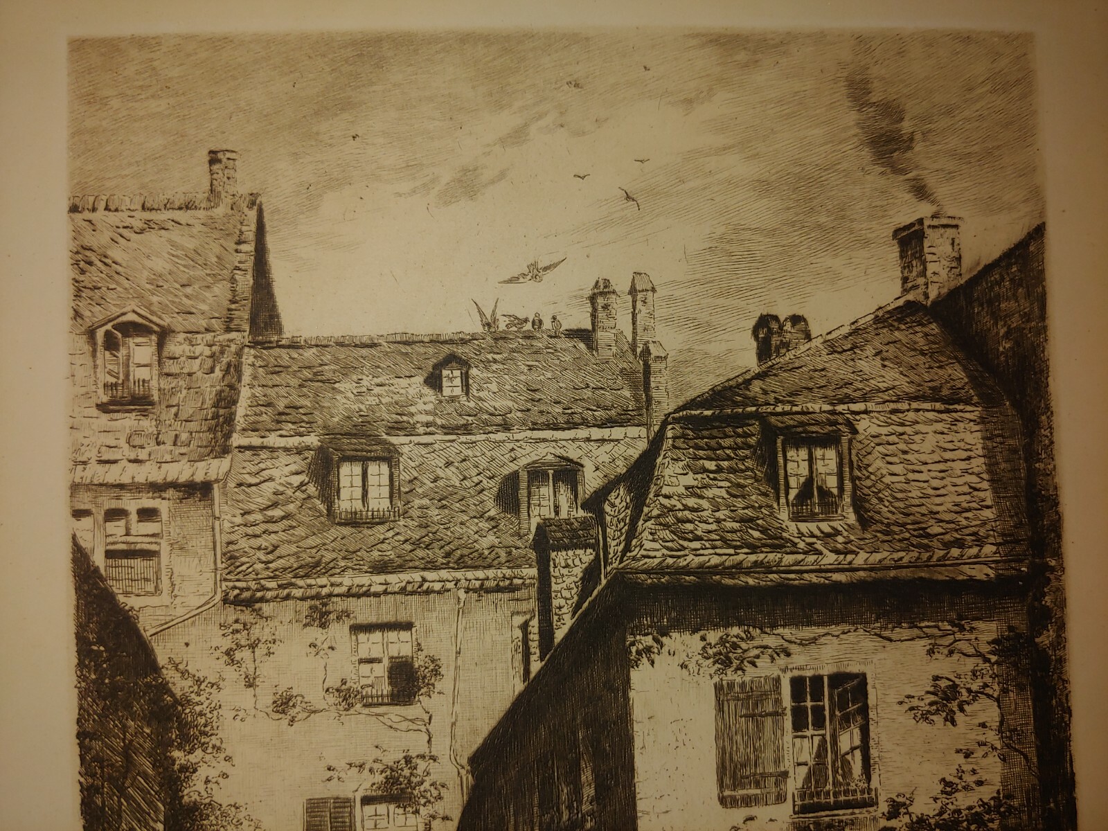 Picture 5 of 12