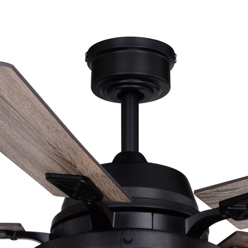 Elburn 2-Light Ceiling Fan in Farmhouse Style 18.75 Inches Tall and 52 Inches - 第 2/11 張圖片