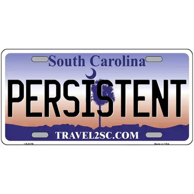 Persistent South Carolina Metal Sign