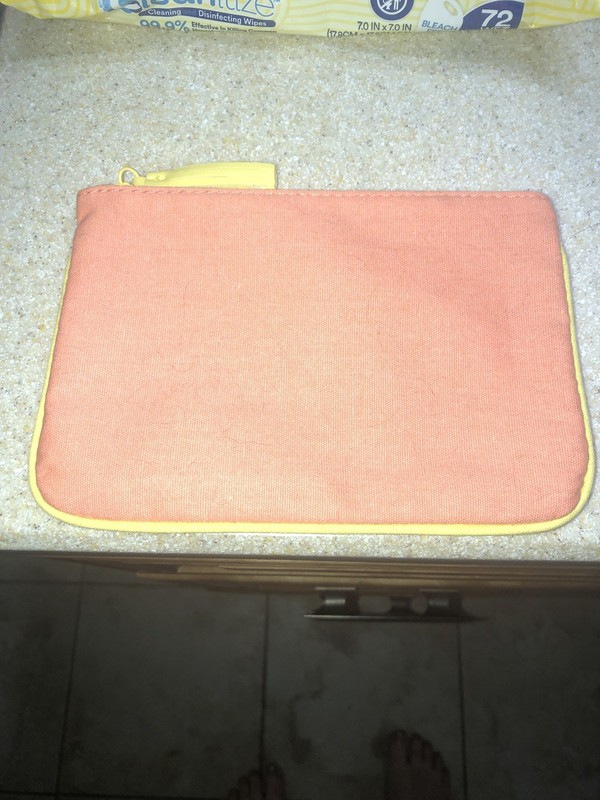 Ipsy Cosmetic Bag