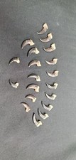 Real Coyote Claws (Beetle Cleaned) (Art Bones...