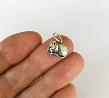 Sterling Silver Cat sleeping small charm