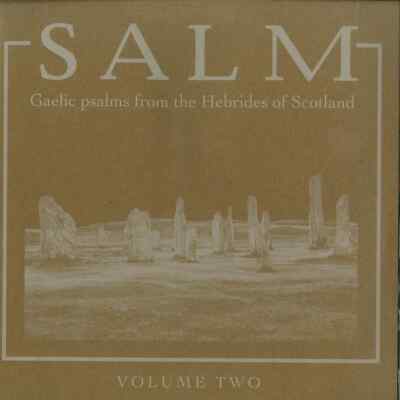 Salm / SALM VOLUME TWO? / ARC LIGHT EDITIONS / ALE008 / 12 Inch
