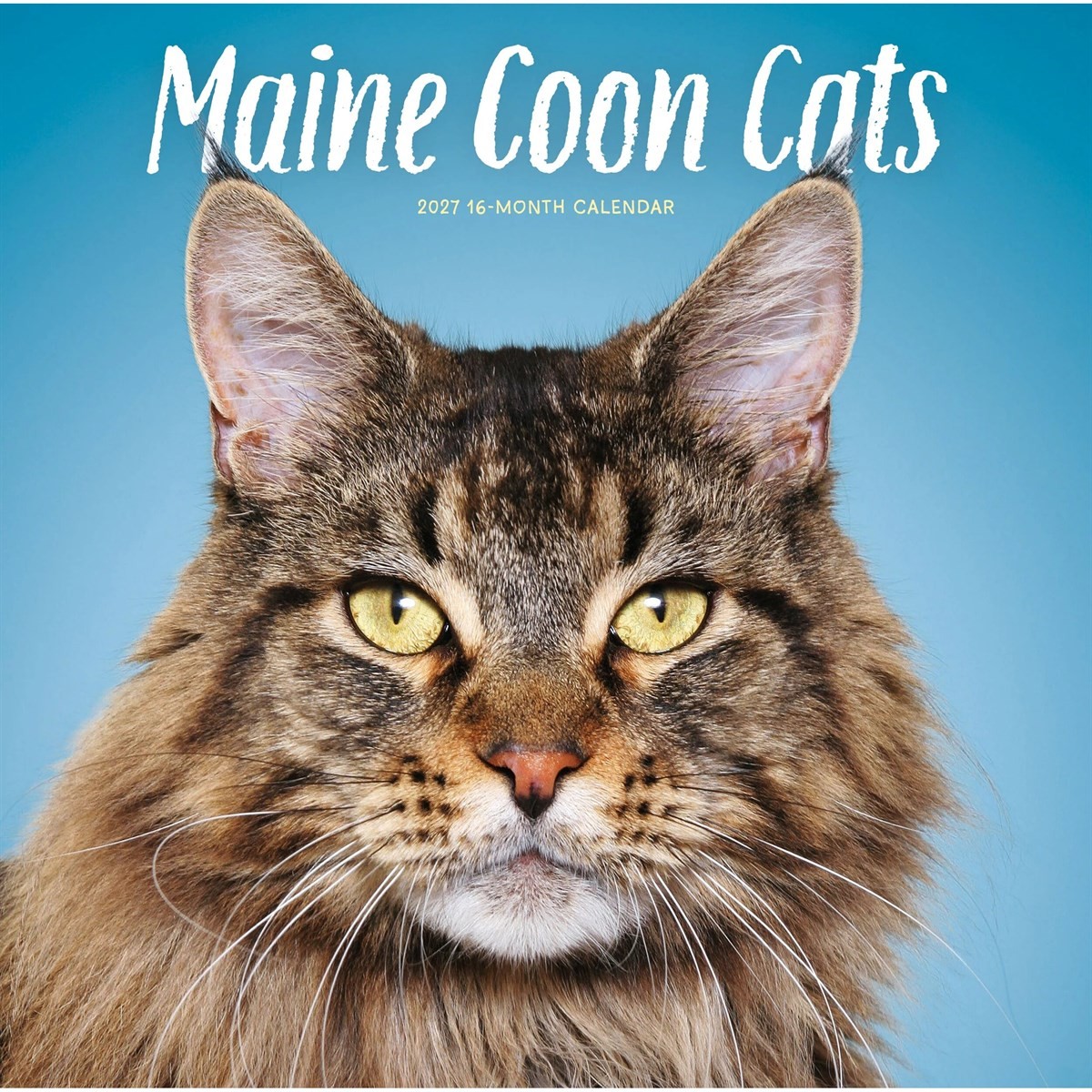 Maine Coon Cats Calendar 2027, Wall Calendars, Month To View, Cats, Gift - Image 2