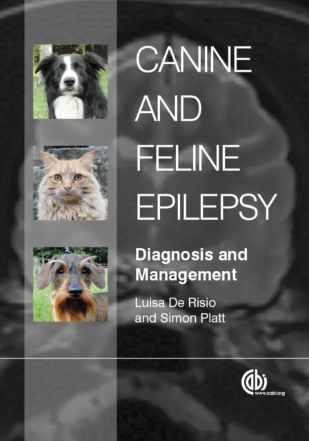 Canine and Feline Epilepsy: Diagnosis and Management by Luisa De Risio HARDBACK