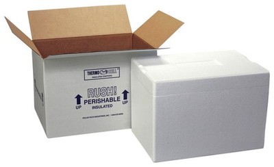 Polar Tech Insulated Foam Container w/ Shipping Box Thermo Chill 8'' x 6'' x 9'' ID