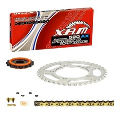 SILENT GOLD Kettensatz Yamaha TT 600 E, 94-98 (4GV 4LW) XAM extra verstärkt