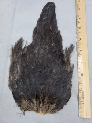Lot 435,  Natural Hen Back Saddle Soft Hackle Feathers for Fly Tying