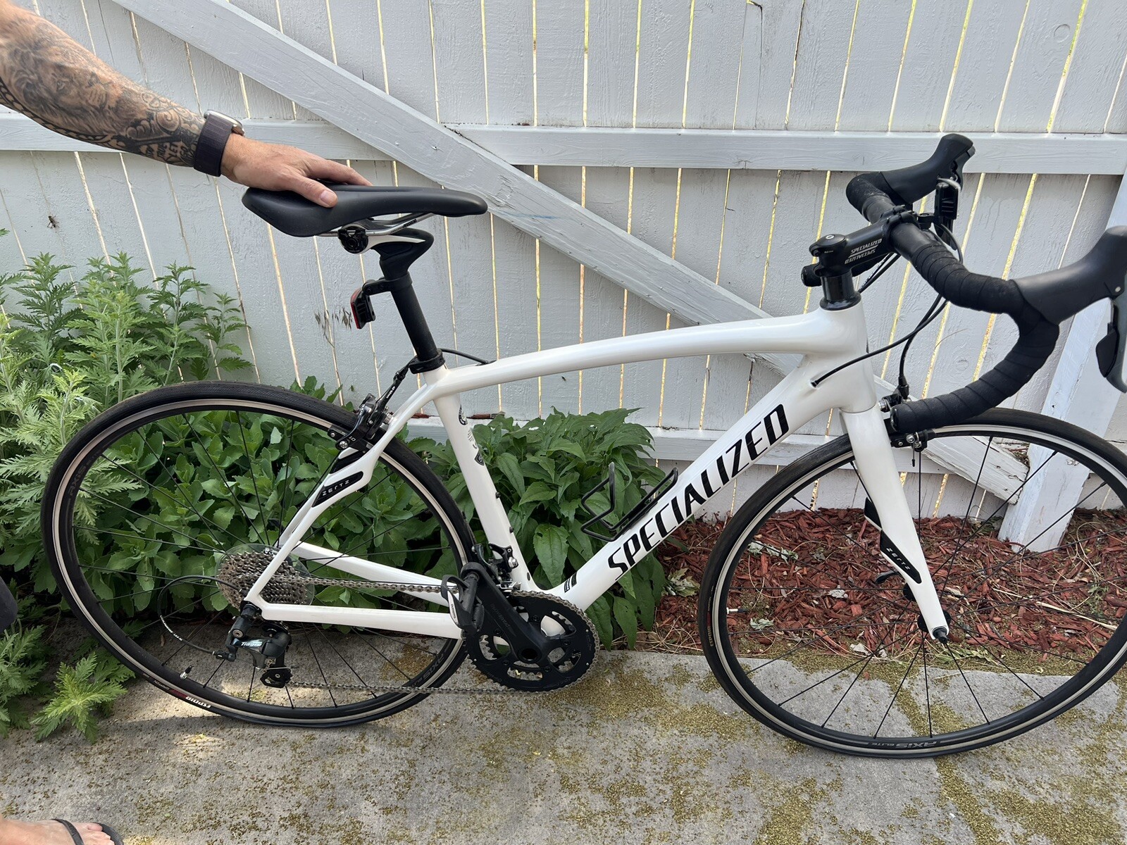 Specialized Roubiax Zertz Carbon Fiber Road Bike Size 52 eBay