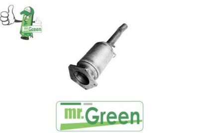 FAP particulate filter Seat Alhambra 2.0