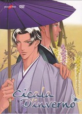 Dvd Gay CICALA D'INVERNO anime Japan nuovo slipcase 2006