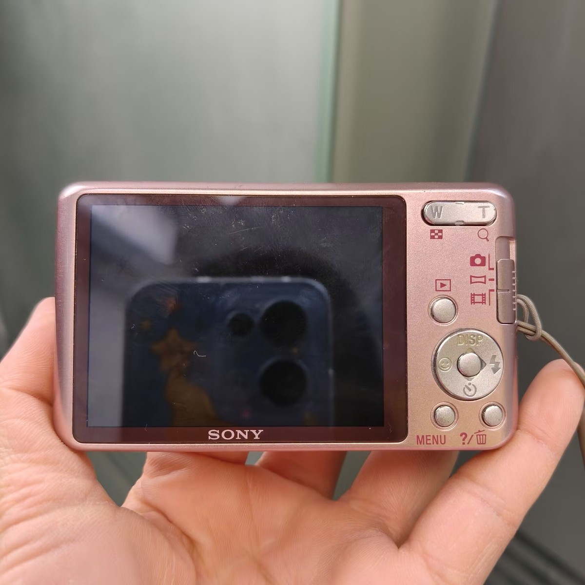 Sony Cyber Shot DSC-W570D Digital Camera 16.1 MP 5x Optical Zoom
