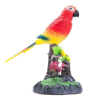 bird toy man