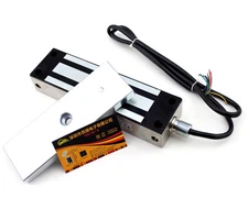 NSEE 12V 24V 500KG 1200LBS Waterproof Electric Magnetic Gate Lock Outdoor Latch