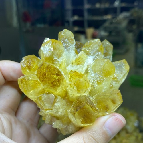 300g+ New Find Yellow Phantom Quartz Crystal Cluster Mineral Specimen Gem - Picture 9 of 12