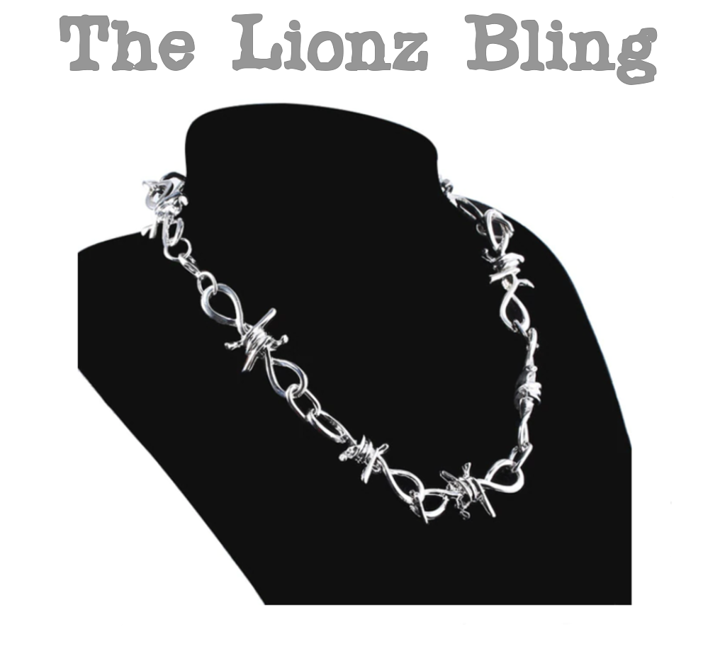 ♡chay♡ Punk Rock Emo Goth Silver Barbed Wire Chain Necklace - 18 1