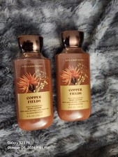 Bath  Body Works Lot Copper Fields